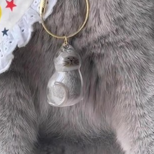 Forever Close｜Cat Pendant